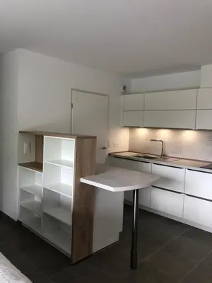 Cuisine ou kitchenette dans l'établissement Henea