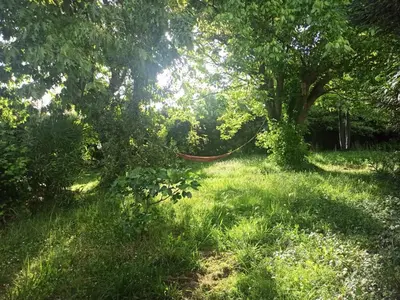 Paysage naturel près de la maison de vacances