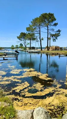 Paysage naturel près de le camping