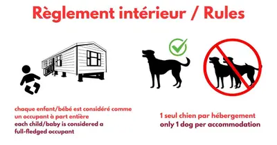 Animal ou animaux domestique(s) séjournant avec des clients dans l'établissement Camping Le Soleil des Landes