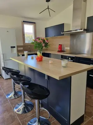 Cuisine ou kitchenette dans l'établissement Jolie maison avec jardin et pergola