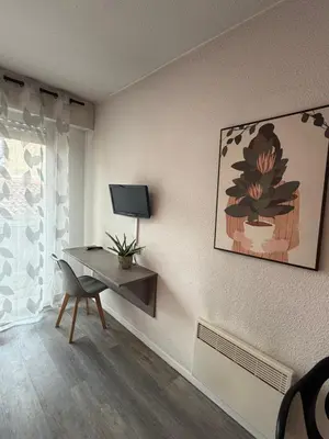 Télévision ou salle de divertissement dans l'établissement Hotel Bains Sarrailh