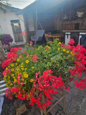 Jardin de l'établissement Chezoulalandaise