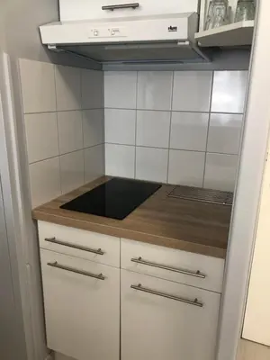 Cuisine ou kitchenette dans l'établissement La Forêt 5