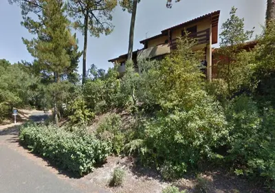 Jardin de l'établissement Appartement cosy au calme - Seignosse Les bourdaines