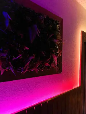 Plan de l'établissement Le Cocon Rose Jacuzzi privé rêve et Douceur