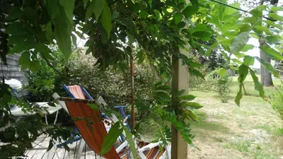 Jardin de l'établissement L atelier de PELLICA