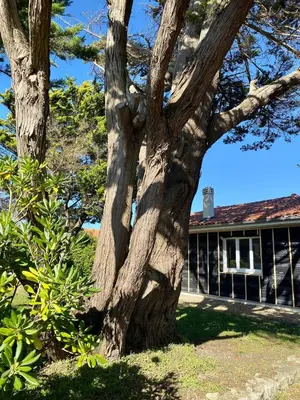 Jardin de l'établissement Bourdaines - Villa entre océan et forêt