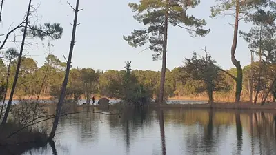 Paysage naturel près de la maison de vacances