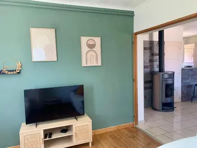 Télévision ou salle de divertissement dans l'établissement La villa Jeanne- Charmante maison avec très belle terrasse couverte à 10 min du centre de Salies de Bearn