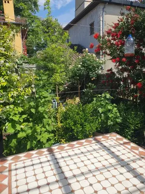 Jardin de l'établissement La maison de Sophie