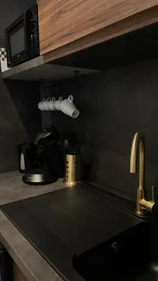 Cuisine ou kitchenette dans l'établissement Mageste 1