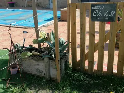 Jardin de l'établissement Chambre d'hôtes 2 - Exotique - Un Refuge à Cachen