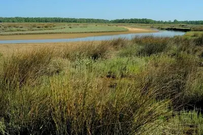 Paysage naturel près de l'appartement