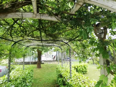 Jardin de l'établissement Maison familiale au calme avec piscine en bordure de forêt