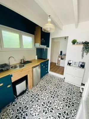 Cuisine ou kitchenette dans l'établissement Appartement Saint Roch