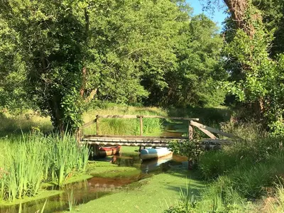 Paysage naturel près de la maison de vacances