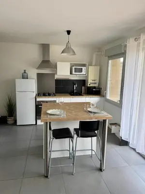 Cuisine ou kitchenette dans l'établissement Modern garden apartment
