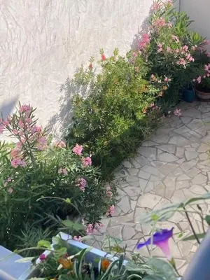 Jardin de l'établissement Logement hyper centre près du Port et prés salés