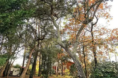 Jardin de l'établissement Villa des Hauts Pins