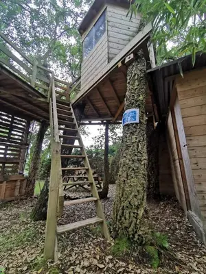 Jardin de l'établissement Villa des Hauts Pins