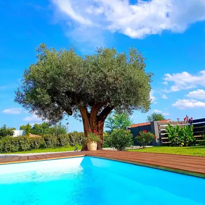 Piscine de l'établissement Chalet du bonheur ou située à proximité