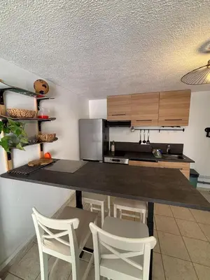 Cuisine ou kitchenette dans l'établissement Appart proche du lac et plages