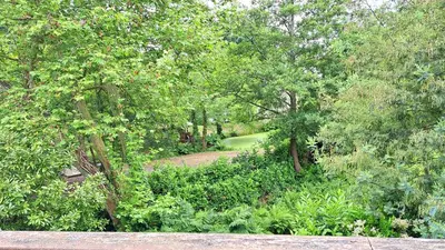 Paysage naturel près de l'appartement