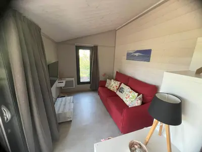 Coin salon dans l'établissement SUPERBE CHALET sous les pins