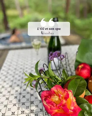 Jardin de l'établissement L'O2 et son Spa, cabane de verre et de bois