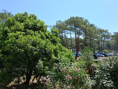 Paysage naturel près de l'appartement