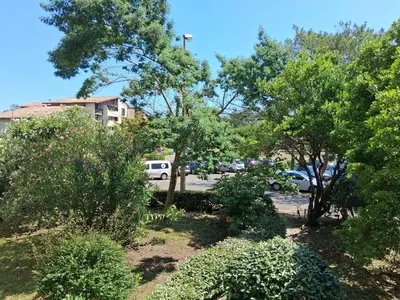 Jardin de l'établissement Appartement T2 à Seignosse - Plages et Commerces à Pied - FR-1-239-1138