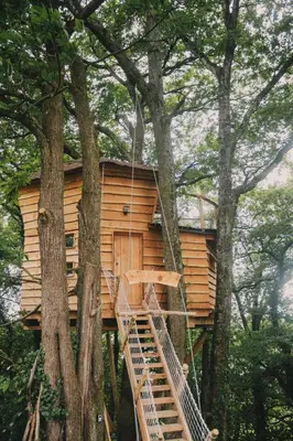 Bâtiment de la tente de luxe