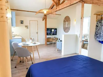 Télévision ou salle de divertissement dans l'établissement Aux portes de la plage, entièrement rénovés, climatisation, wifi, Parking gratuit, linge de maison fournit, ménage en fin de séjour compris