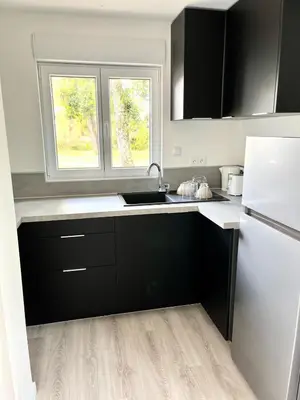 Cuisine ou kitchenette dans l'établissement Marwine