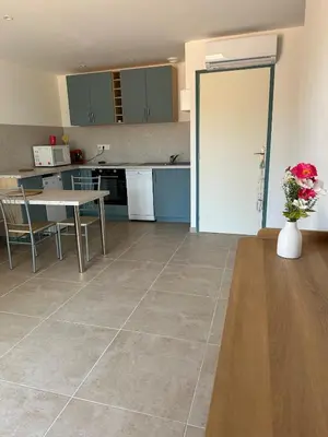 Cuisine ou kitchenette dans l'établissement Logement entier Appartement
