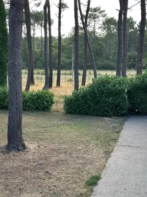 Jardin de l'établissement Logement entier Appartement