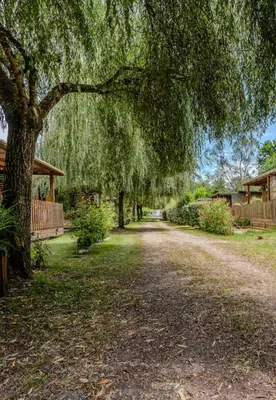 Jardin de l'établissement Chalet cozy dans Village au cœur des pins, parking gratuit