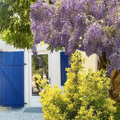 C'est une maison bleue adossée à la forêt - longue durée possible
