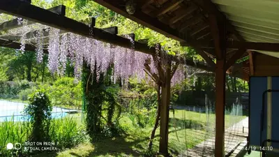 Jardin de l'établissement Maison Landaise En Pleine Nature