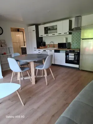 Cuisine ou kitchenette dans l'établissement Le Nid paisible