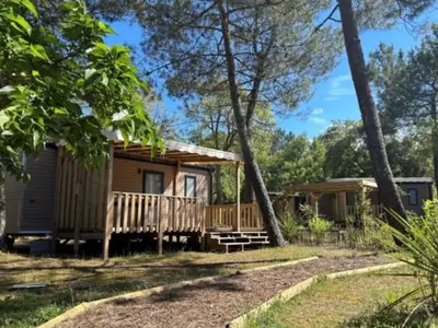 Jardin de l'établissement Mobil-home Prestige avec Terrasse - 4 personnes, 2 chambres - API-1-52-486