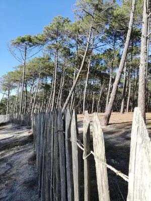 Paysage naturel près de le camping
