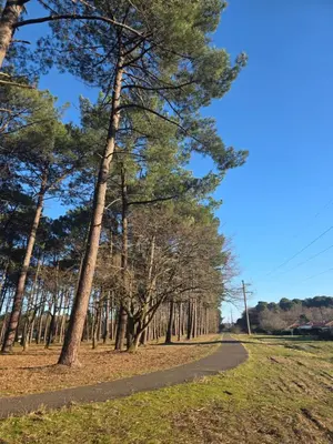 Paysage naturel près de l'appartement