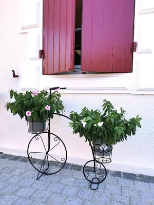 Vélo sur le terrain de l'établissement La grange des Bruyères, maison rénovée, 5 chambres ou dans les environs