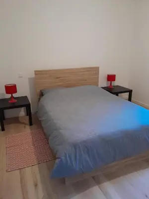 Un ou plusieurs lits dans un hébergement de l'établissement Appartement dans grange rénovée