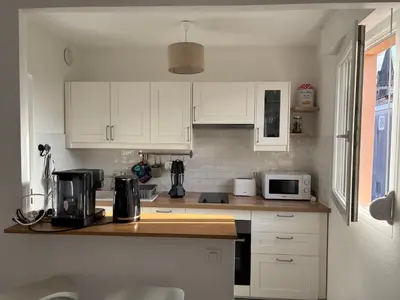 Cuisine ou kitchenette dans l'établissement Le petit nid douillet du Bassin T2