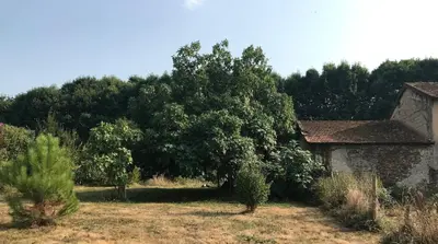 Jardin de l'établissement Maison à la campagne entre montagne et mer