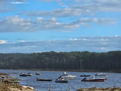 Paysage naturel près de le camping