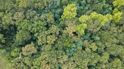Paysage naturel près de l'appartement
